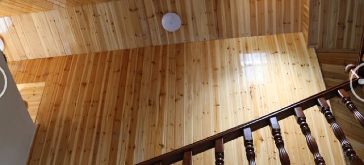 遂昌田园小舍图片