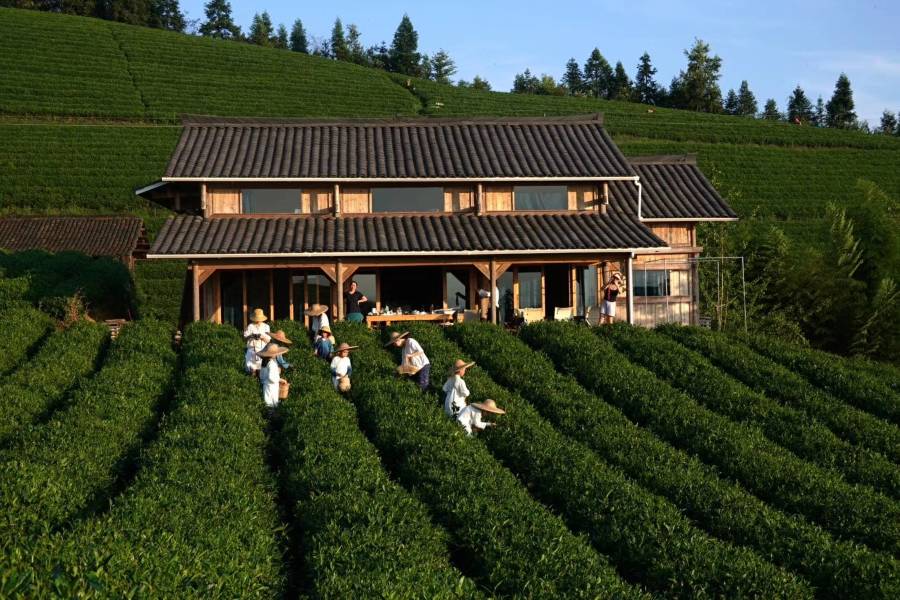 黎平龍形衝TEATEL茶主題民宿