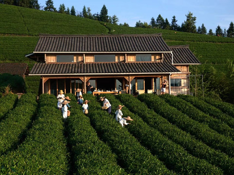 黎平龙形冲TEATEL茶主题民宿