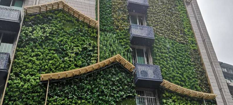 成都青柠宜家青旅图片