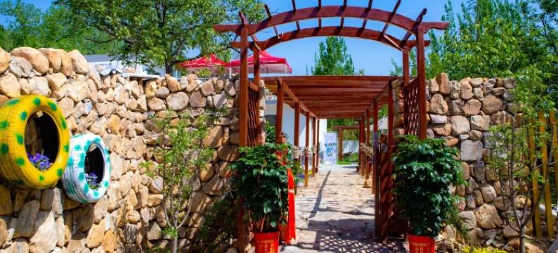 玖居养心小筑(登封少林寺店)图片