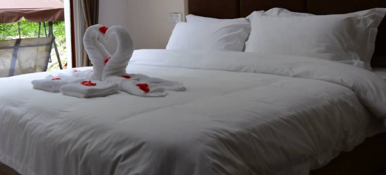 永修碧水丹山民宿图片