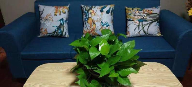 杭州家恋青年旅舍图片