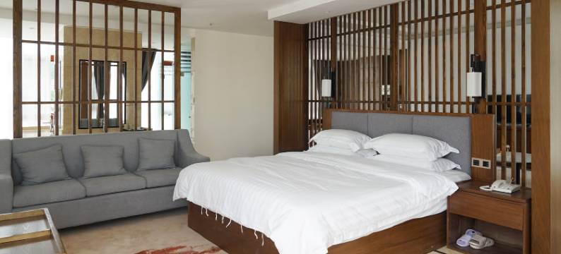 镇沅传麒酒店图片