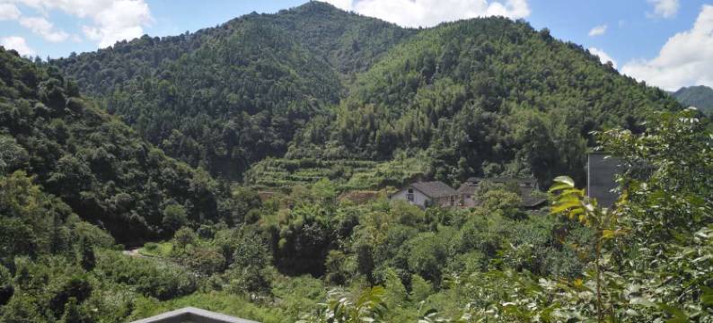 绥宁黄桑客栈图片