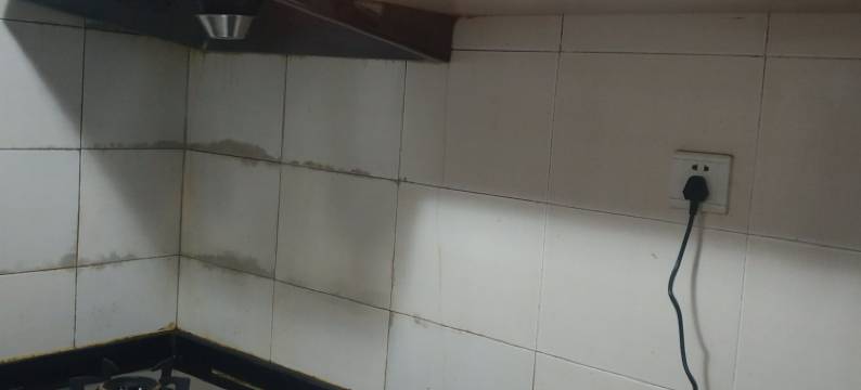 成都猪儿虫青年旅舍图片