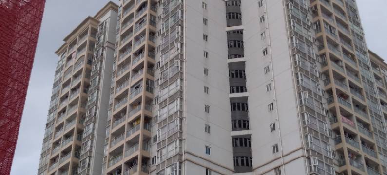 深圳自由猪青年旅舍图片