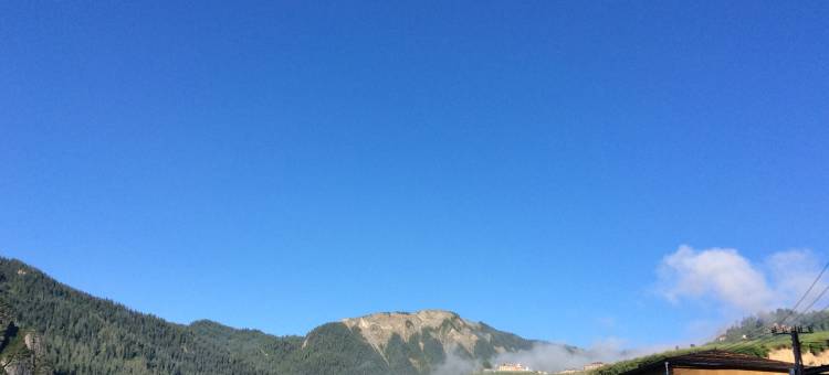 迭部扎尕那格桑花民宿(扎尕那景区店)图片