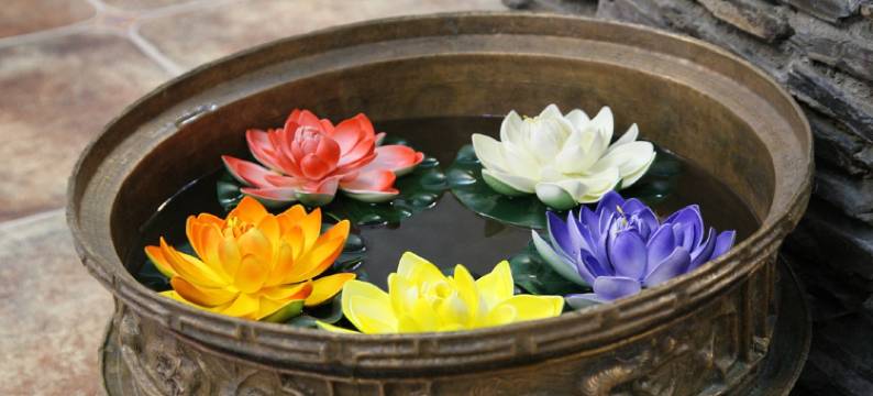 新龙雅砻江大酒店图片