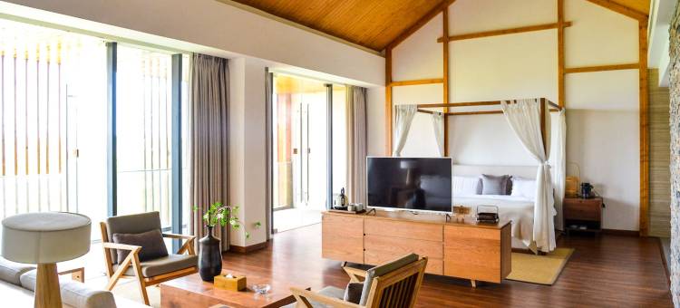 孝感卓尔小镇桃花驿图片