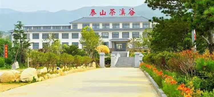泰山茶溪谷民宿图片