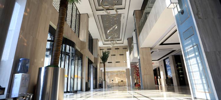 威尔顿大酒店图片