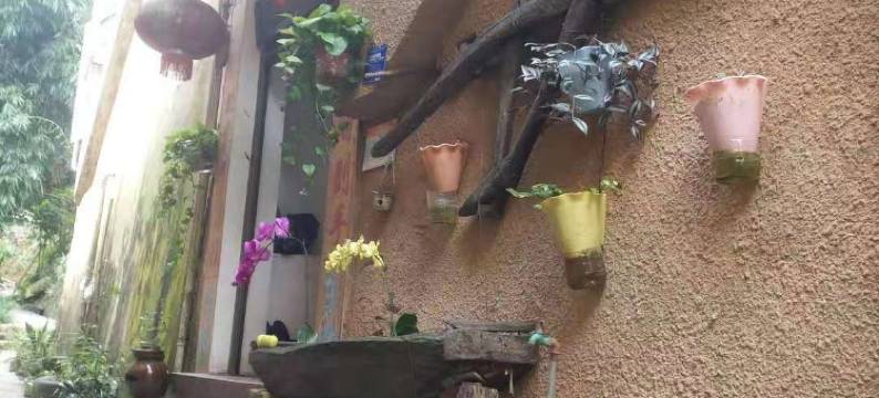 元阳云裳人家客栈图片