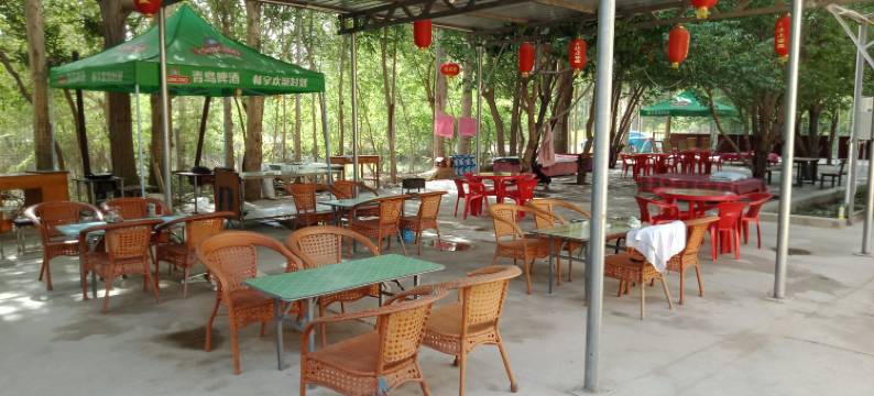 敦煌相见欢农家园图片