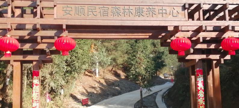安顺森林康养中心图片