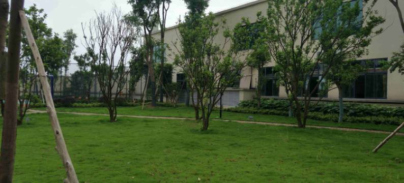 重庆临家臻品花园酒店图片