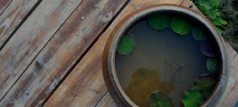 资兴东江村舍图片