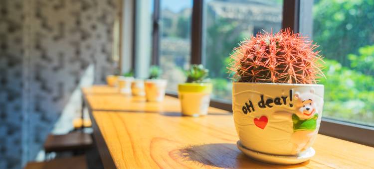 东极东福山逸岛民宿图片