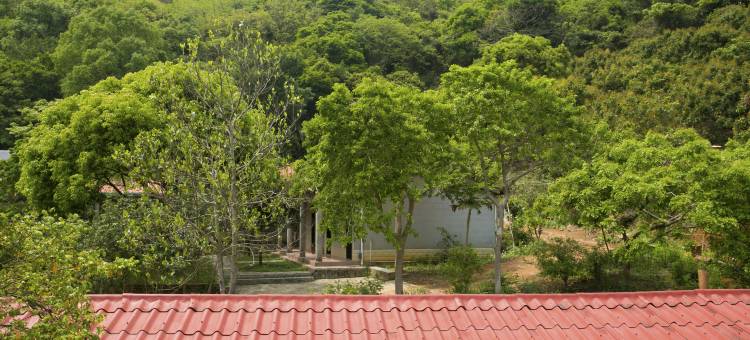 博罗罗浮山莫洞果园农庄图片