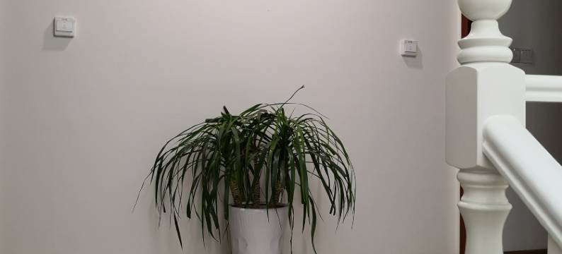 建湖东吴旅馆图片