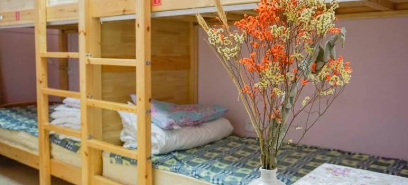 成都夏目青年旅社图片