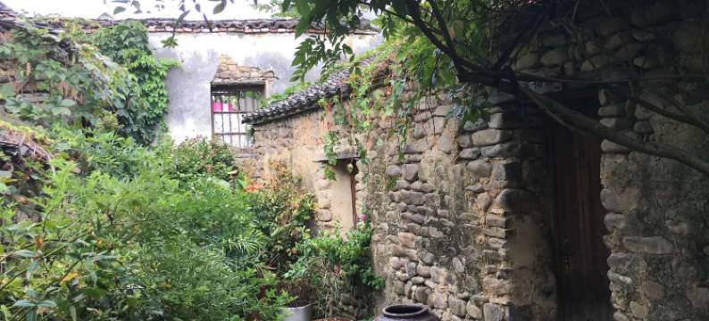 杭州坞里屋外民宿图片