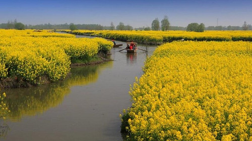 锦江之星(兴化英武大桥店)1晚+千垛景区门票 船