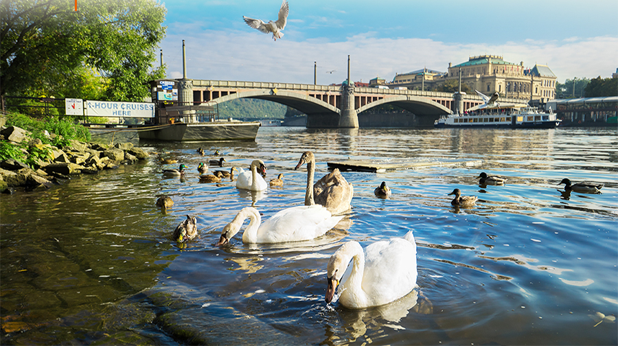 捷克+匈牙利+斯洛伐克+波兰14日跟团游·川航