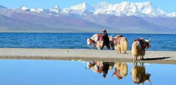 拉萨+布达拉宫+日喀则+羊卓雍措+珠峰大本营