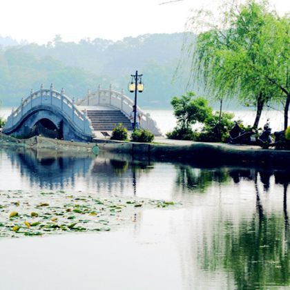 乌镇+西栅夜游+杭州西湖游船+雷峰塔+杭州宋城2日1晚跟团游