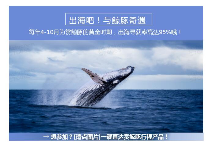 台北 九份 花莲7日自由行 已有g签 外籍可订 来趣花莲赏萤赏鲸豚 精选九份民宿1晚 花莲民宿2晚体验 东北部文艺清新串游 九份山城 花莲 太鲁阁秘境 星光赏萤季火热进行中 台北 九份 花莲7日自由行 已有g签 外籍可订 来趣花莲赏萤赏鲸豚 精选九份民宿1晚 花莲民宿2晚体验 东北部文艺清新串游 九份山城 花莲 太鲁阁秘境 星光赏萤季火热进行中