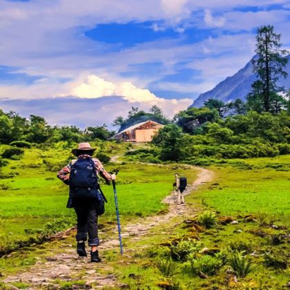 林芝+波密+墨脱+米堆冰川+来古冰川+果果塘大拐弯6日5晚拼小团