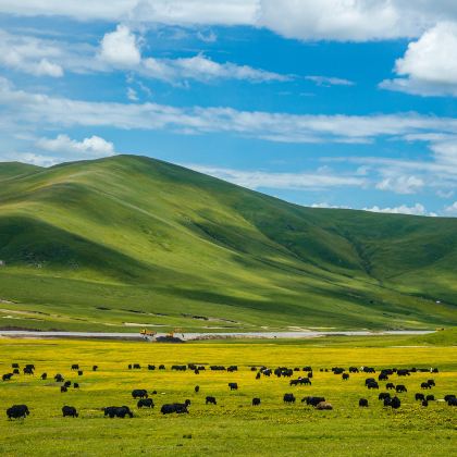 兰州+甘南+扎尕那+莲宝叶则景区7日6晚私家团