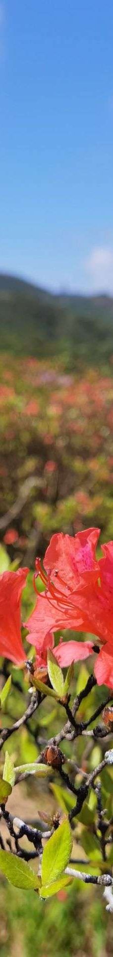 大围山国家森林公园-浏阳