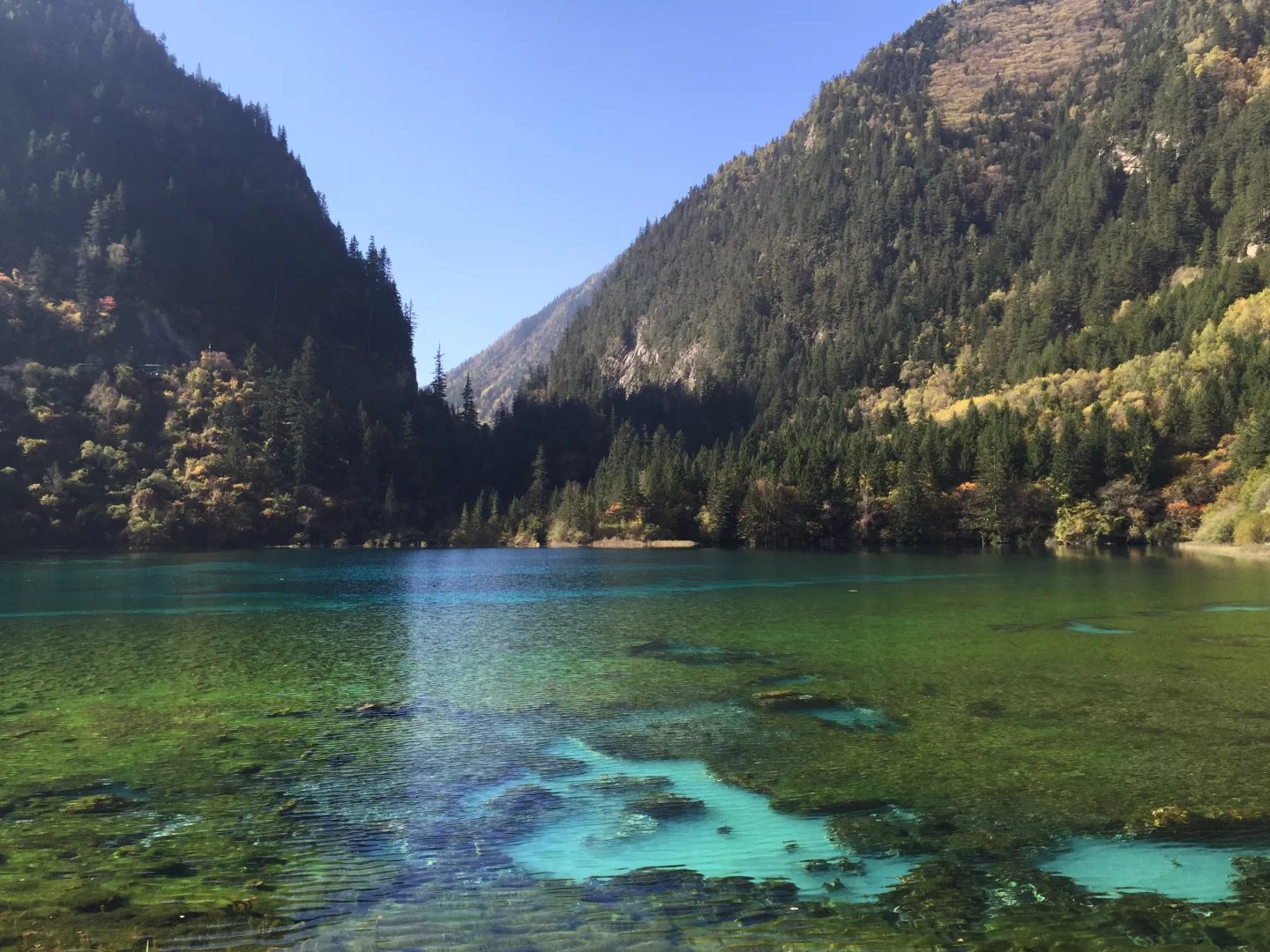 特别感谢司机小张,导,成都+九寨沟+都江堰5日