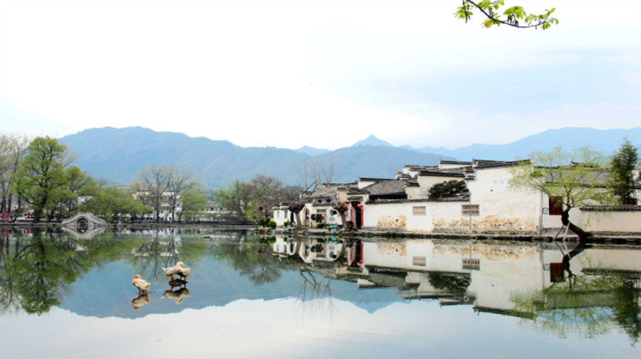 人口隐匿_小儿隐匿茎手术图(2)