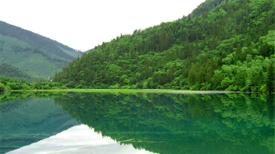 成都報團去九寨溝_廣元去九寨溝報團_成都去九寨溝跟團