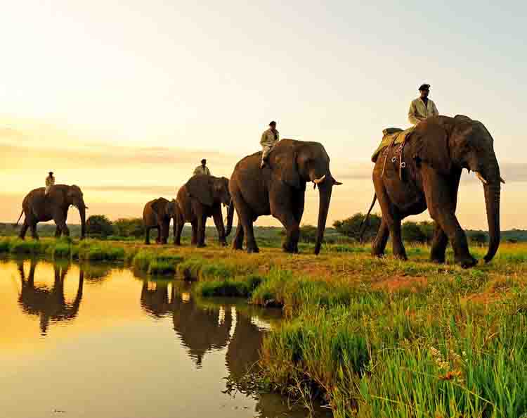 泰国曼谷+芭提雅6日5晚跟团游·真人秀清迈小