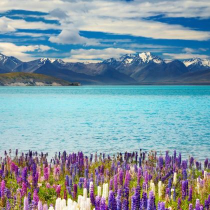 新西兰12日私家团