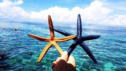 菲律宾马尼拉+长滩岛6日5晚跟团游·团签,一次