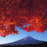 日本五年多次北京美时途签证办理流程,日本五