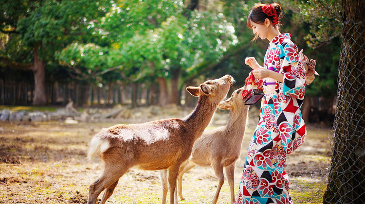 日本大阪 京都 箱根 东京7日6晚跟团游 4钻 A线入住大矶王子温泉酒店自制章鱼小丸子 牛肉寿喜烧畅吃打卡京都网红景点大阪1日自由