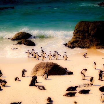 南非10日9晚拼小团