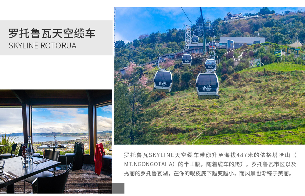 新西兰北岛5日4晚跟团游(4钻)·奥克兰+霍比特