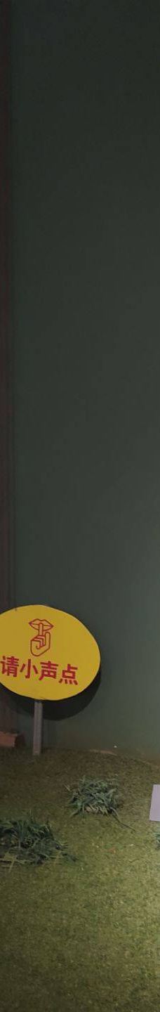 西安半坡博物馆-西安