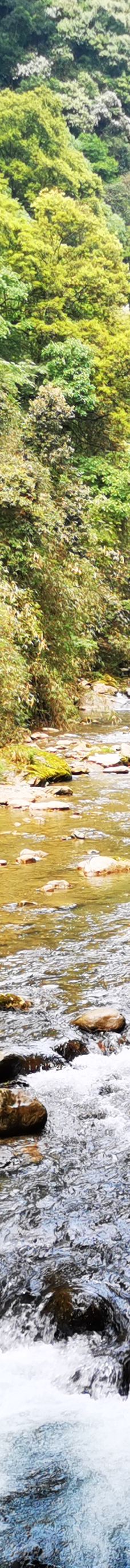 黑山谷风景区-重庆