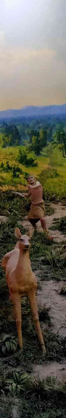 西安半坡博物馆-西安