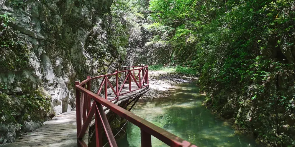 永安旅遊