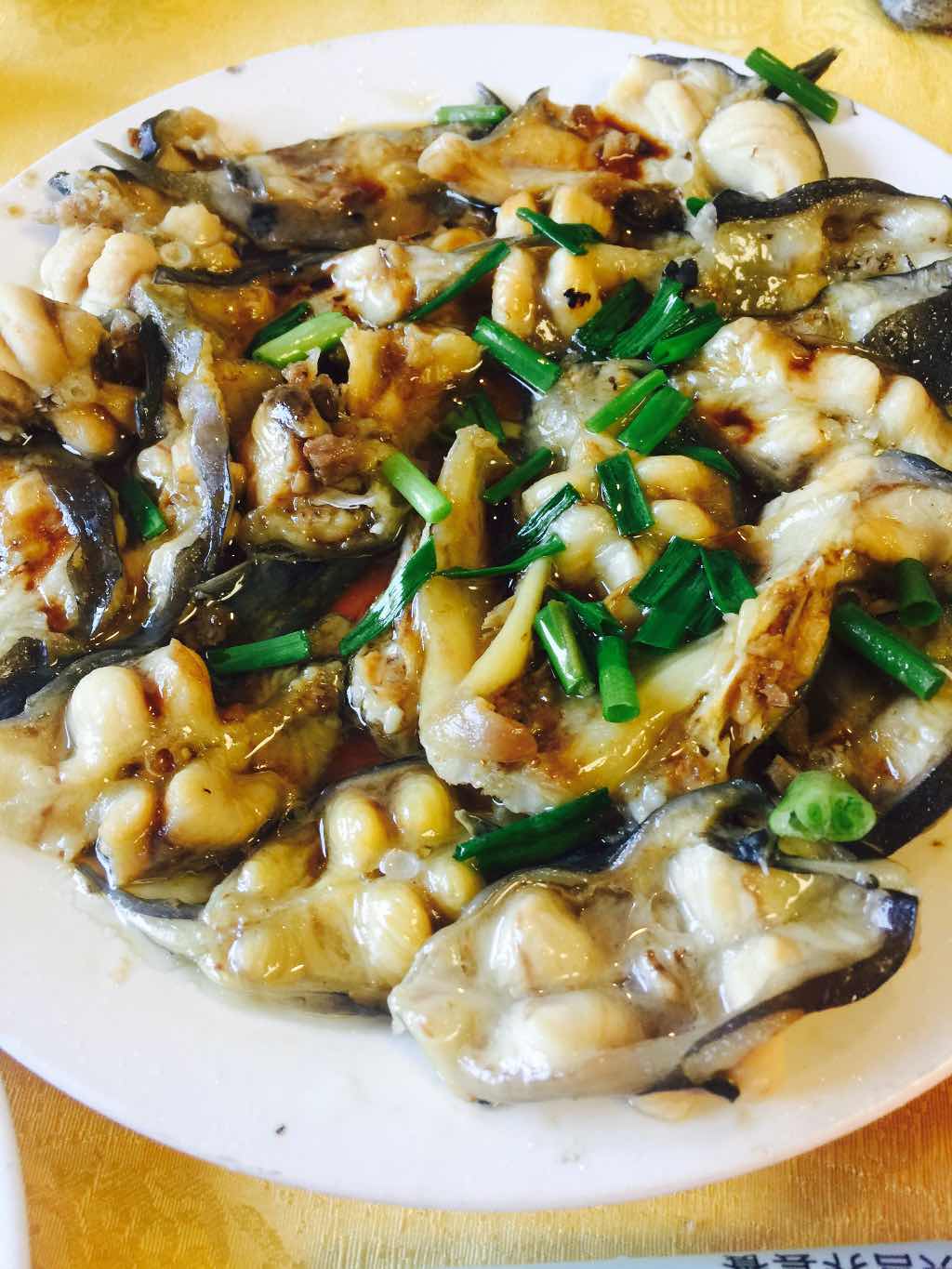 阳朔旅游怎么样,阳朔旅游好玩吗