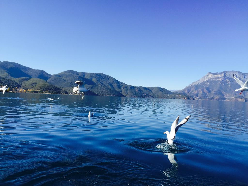 成语玩命猜蓝色的湖水_成语玩命猜900图解(3)